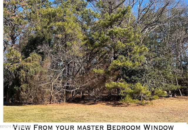 1-B Pilgrim Ct, Whiting, NJ 08759 - view of green lawn