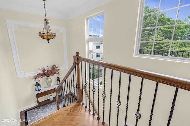 118 Pelican Ct, Marlboro, NJ 07746 - photo 23