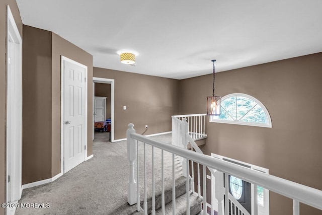 20 Camelot Ter, Jackson, NJ 08527 - photo 45