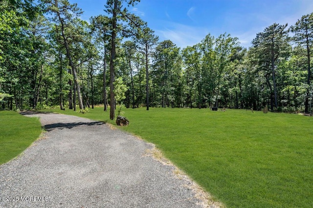 20 Camelot Ter, Jackson, NJ 08527 - photo 57