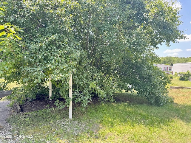 1408 Anvil Way, Toms River, NJ 08755 - view of yard