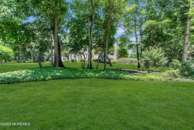 45 Erin Dr, Jackson, NJ 08527 - view of grassy yard