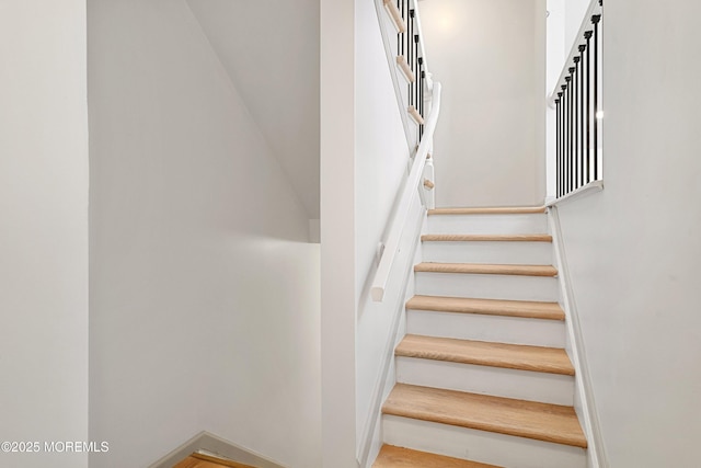 718 Radcliffe Rd, Lanoka Harbor, NJ 08734 - photo 26