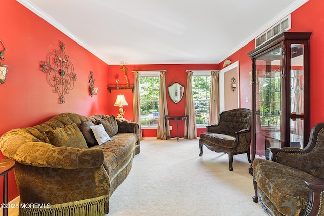 66 Spring Hill Rd, Matawan, NJ 07747 - photo 8