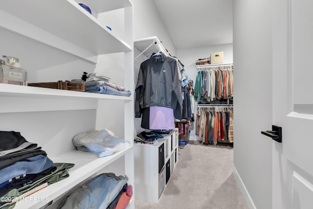 3 Devon Dr, Howell, NJ 07731 - spacious closet with carpet flooring