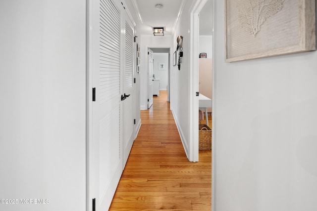 2120 Frances Dr, Point Pleasant, NJ 08742 - hall with light wood finished floors, crown molding, and attic access