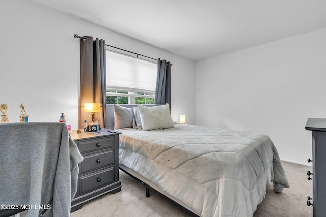 43 Winchester Dr, Howell, NJ 07731 - bedroom featuring light colored carpet