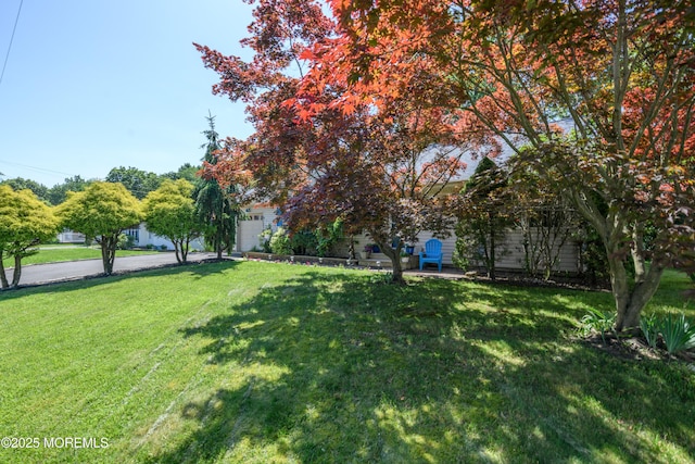 20 Miller Ave, Holmdel, NJ 07733 - photo 6
