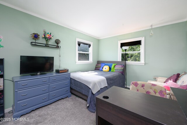 20 Miller Ave, Holmdel, NJ 07733 - photo 19