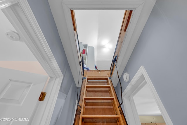 14 Evan Ave, East Windsor, NJ 08520 - photo 48
