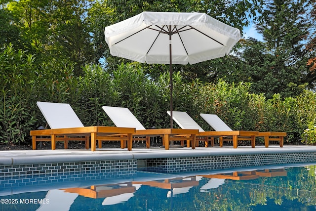 63 Bingham Ave, Rumson, NJ 07760 - view of swimming pool