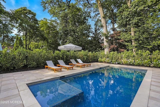63 Bingham Ave, Rumson, NJ 07760 - view of swimming pool featuring a patio area and view of wooded area