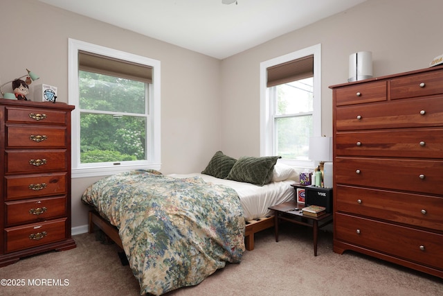 477 Lakewood Farmingdale Rd, Howell, NJ 07731 - bedroom featuring light carpet