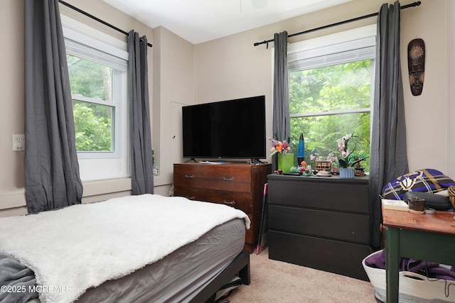 477 Lakewood Farmingdale Rd, Howell, NJ 07731 - view of carpeted bedroom