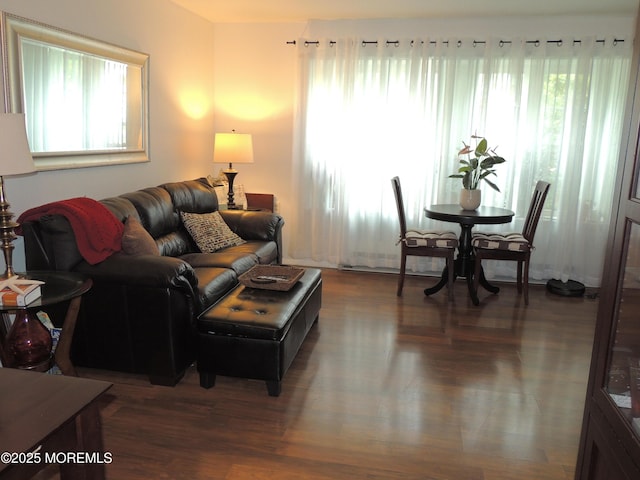 455A Chesterfield Ct, Manchester, NJ 08759 - living room with plenty of natural light and wood finished floors