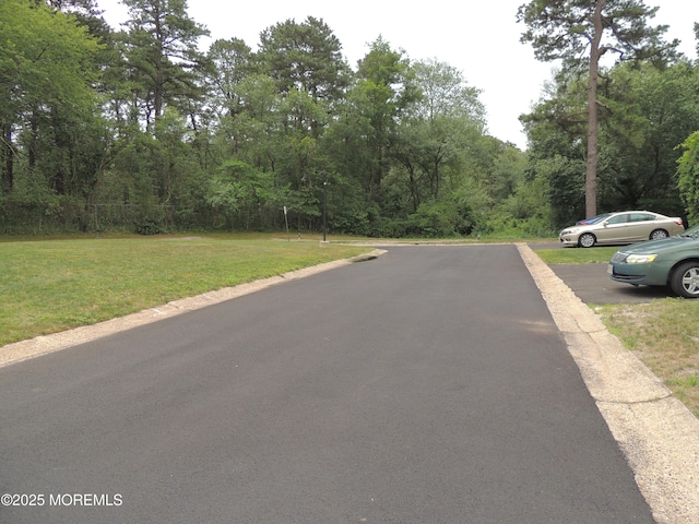 455A Chesterfield Ct, Manchester, NJ 08759 - view of asphalt street