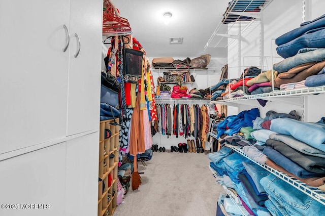 626 Anthony Ave, Toms River, NJ 08753 - spacious closet with carpet floors