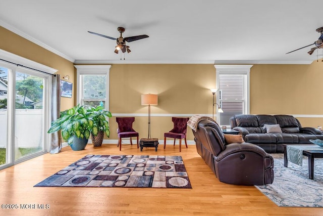 626 Anthony Ave, Toms River, NJ 08753 - living room with a ceiling fan, wood finished floors, and crown molding