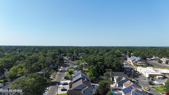 30 Stuyvesant Rd, Brick, NJ 08723 - aerial view of residential area with a forest