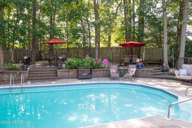 223 Kelly Lynn Ln, Brick, NJ 08724 - view of swimming pool featuring a patio and a fenced backyard