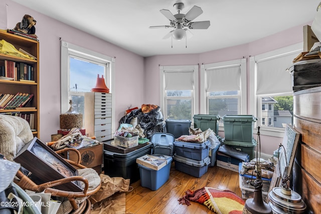 300 Atkins Ave, Neptune Township, NJ 07753 - living area with hardwood / wood-style flooring and a ceiling fan