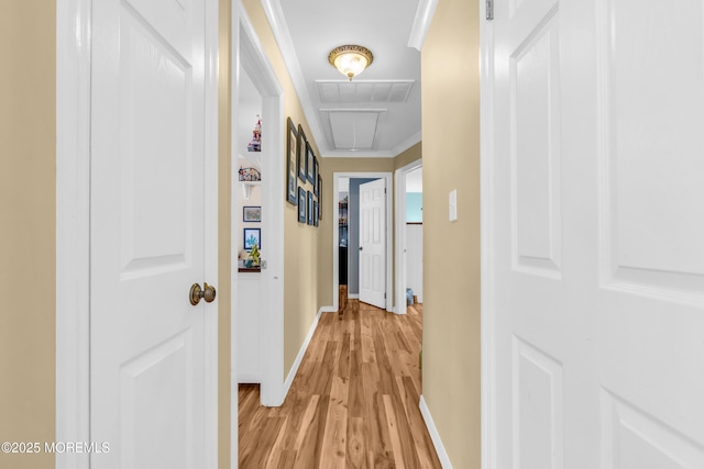 1425 Birmingham Ave, Toms River, NJ 08757 - hallway with light wood-style flooring and attic access