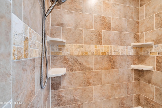 106 Northumberland Dr, Toms River, NJ 08757 - detailed view of a tile shower