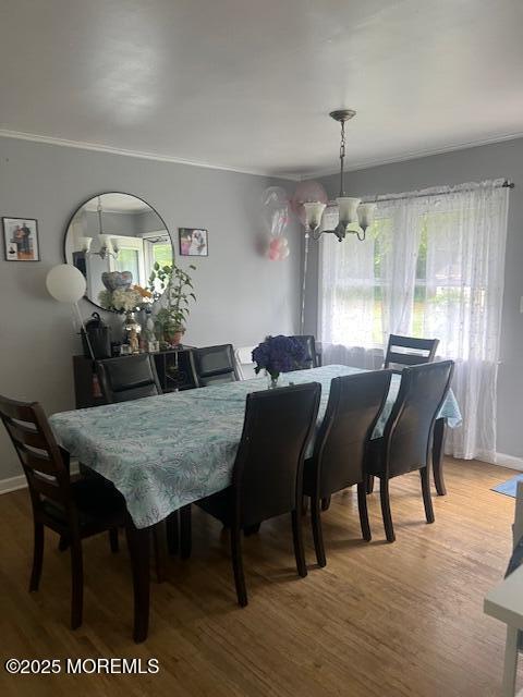 3 Garden Ter, West Long Branch, NJ 07764 - photo 4