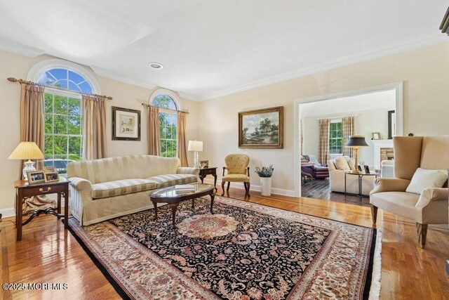 9 Wide Horizons Dr, Colts Neck, NJ 07722 - living room featuring ornamental molding and wood finished floors