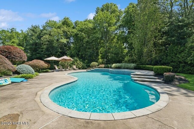 9 Wide Horizons Dr, Colts Neck, NJ 07722 - outdoor pool featuring a patio area