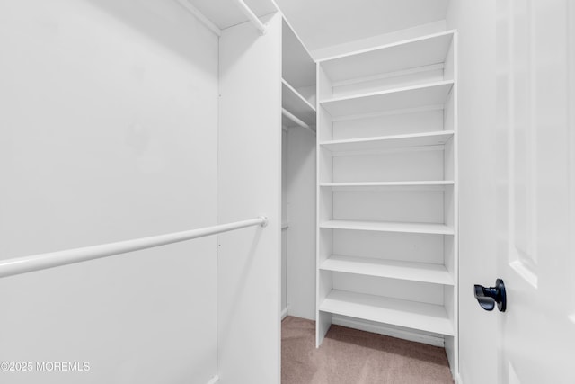 28 Greenbriar Blvd, Brick, NJ 08724 - spacious closet with carpet