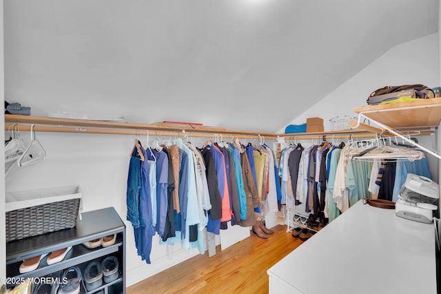 1822 Laurel Ter, Belmar, NJ 07719 - photo 33