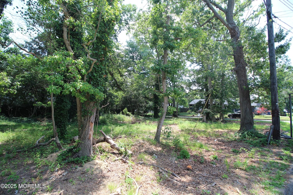 553 Halliard Ave, Beachwood, NJ 08722 - photo 1