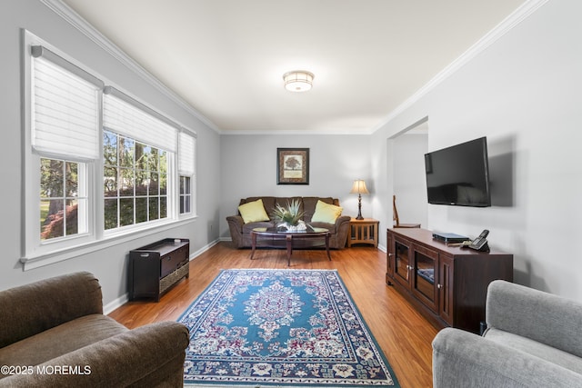3 Thompson Ln, Manalapan, NJ 07726 - living room featuring ornamental molding and light wood-type flooring