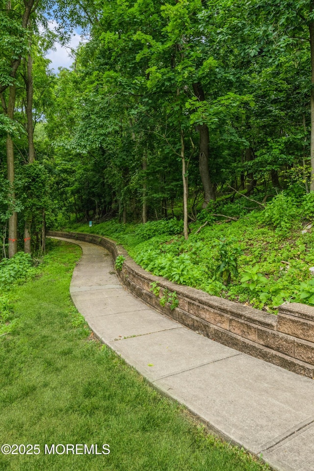 1111 Wellington Pl, Matawan, NJ 07747 - view of home's community with a lawn and a wooded view