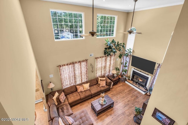 24 Conor Rd, Jackson, NJ 08527 - photo 23