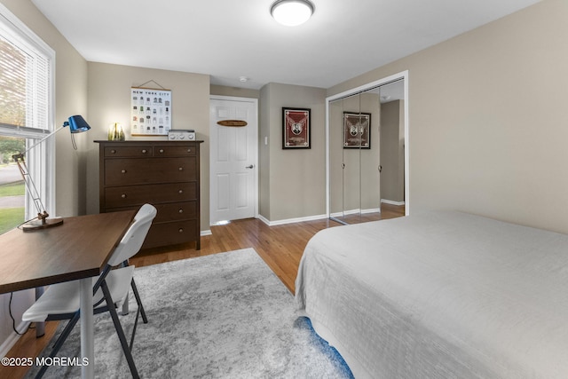 280 Double Creek Pkwy, Freehold, NJ 07728 - bedroom with wood finished floors and a closet