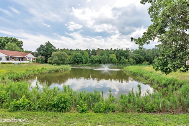 530B Sheffield Dr, Manchester, NJ 08759 - water view