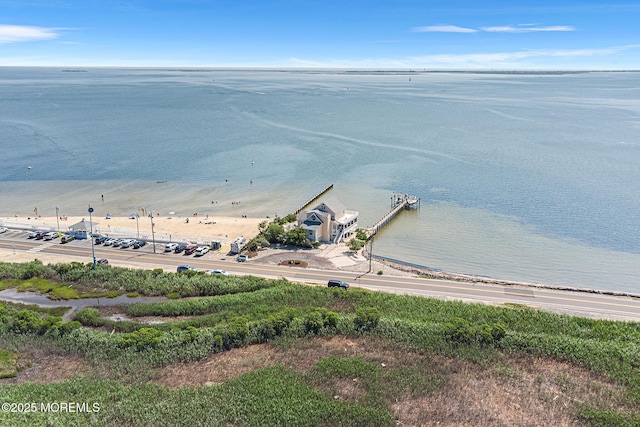 379 Bayshore Dr, Barnegat, NJ 08005 - photo 63