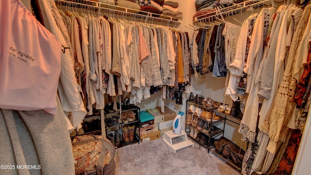 56 W Aspen Way, Aberdeen, NJ 07747 - spacious closet with carpet