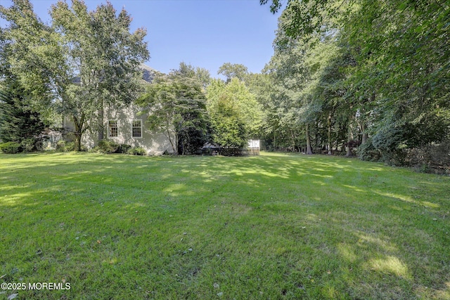 26 Bruns Rd, Allenhurst, NJ 07711 - view of green lawn