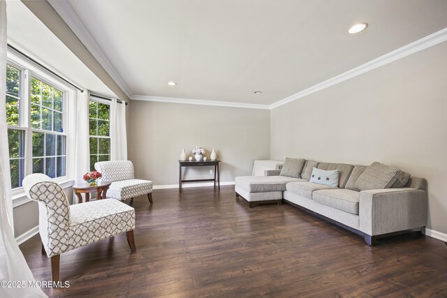 304 Mackenzie Dr, Jackson, NJ 08527 - living area with crown molding, recessed lighting, and dark wood-style flooring