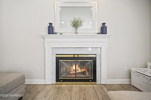 304 Mackenzie Dr, Jackson, NJ 08527 - detailed view of wood finished floors and a premium fireplace