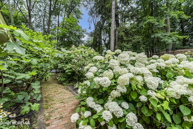 2041 Raritan Rd, Scotch Plains, NJ 07076 - photo 81