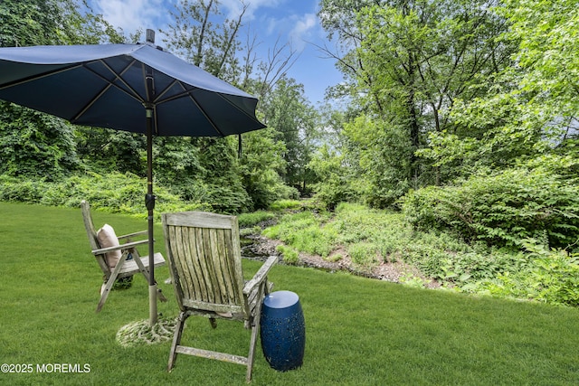 2041 Raritan Rd, Scotch Plains, NJ 07076 - photo 84
