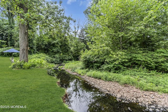 2041 Raritan Rd, Scotch Plains, NJ 07076 - photo 85