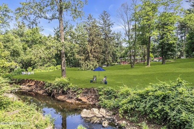 2041 Raritan Rd, Scotch Plains, NJ 07076 - photo 86