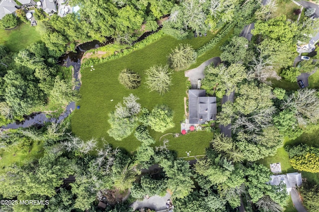 2041 Raritan Rd, Scotch Plains, NJ 07076 - photo 6