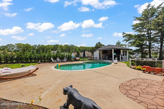 1218 W Park Ave, Ocean Twp, NJ 07712 - swimming pool with a patio area, an outdoor structure, a storage structure, and view of scattered trees