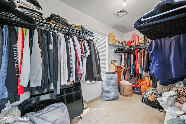 18 4th Ave, Toms River, NJ 08757 - spacious closet with carpet flooring